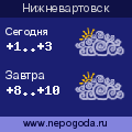 Прогноз погоды в городе Нижневартовск